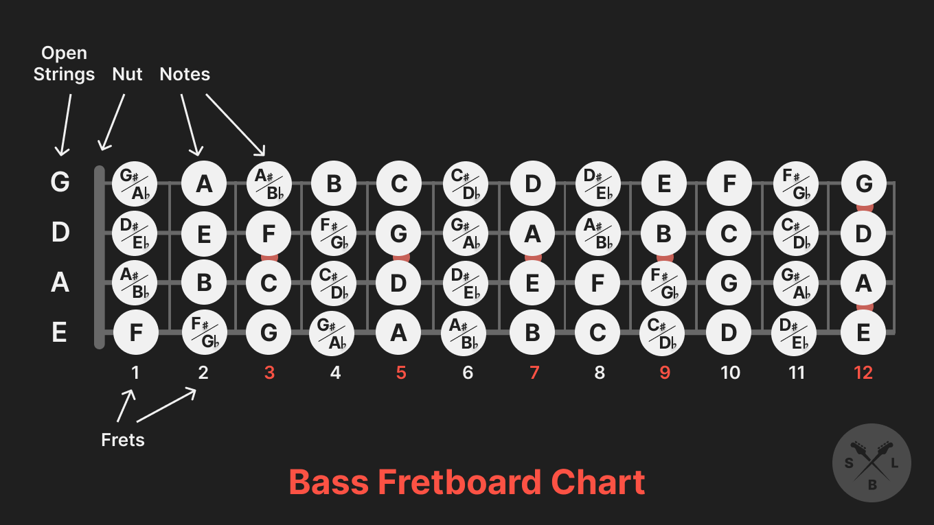 Buy Bass Scale Finder (9 x 12)