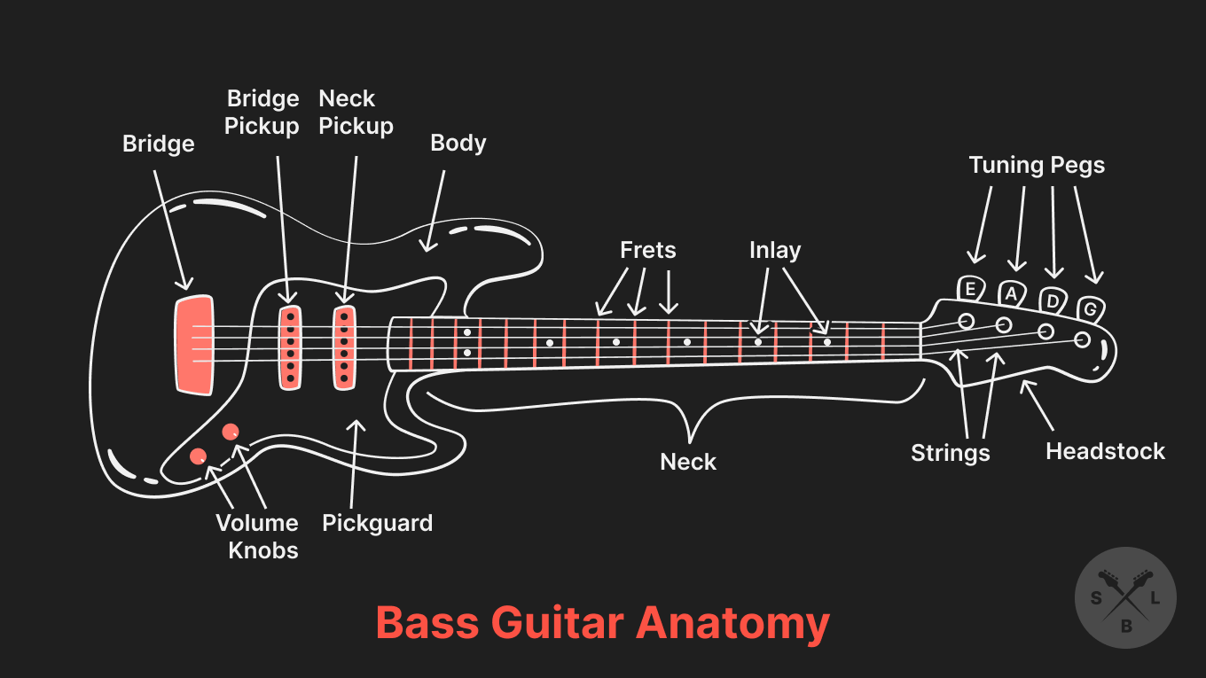 Blog: Learning to Play the Bass Guitar (Your Very First Steps) – Scott's  Bass Lessons