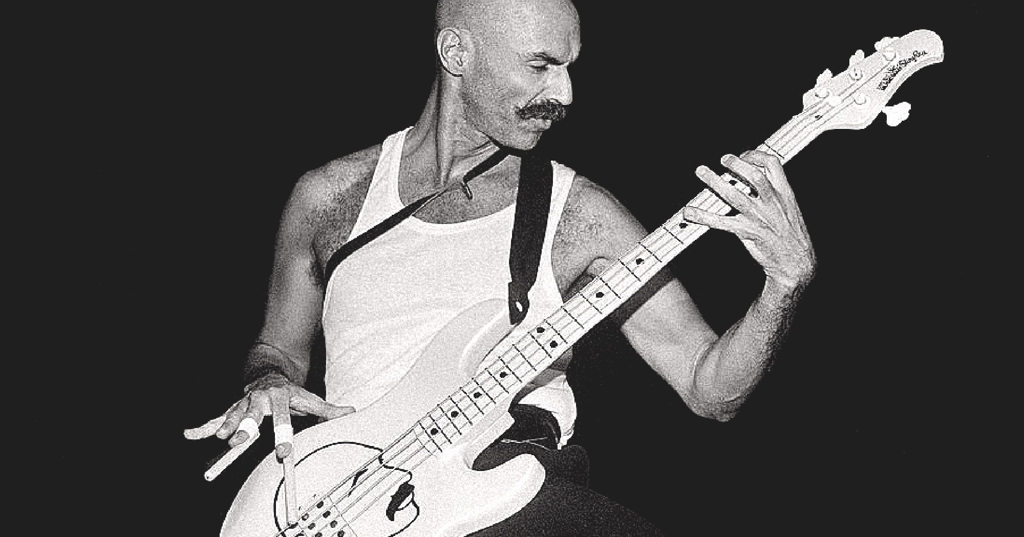 tony levin bass guitar